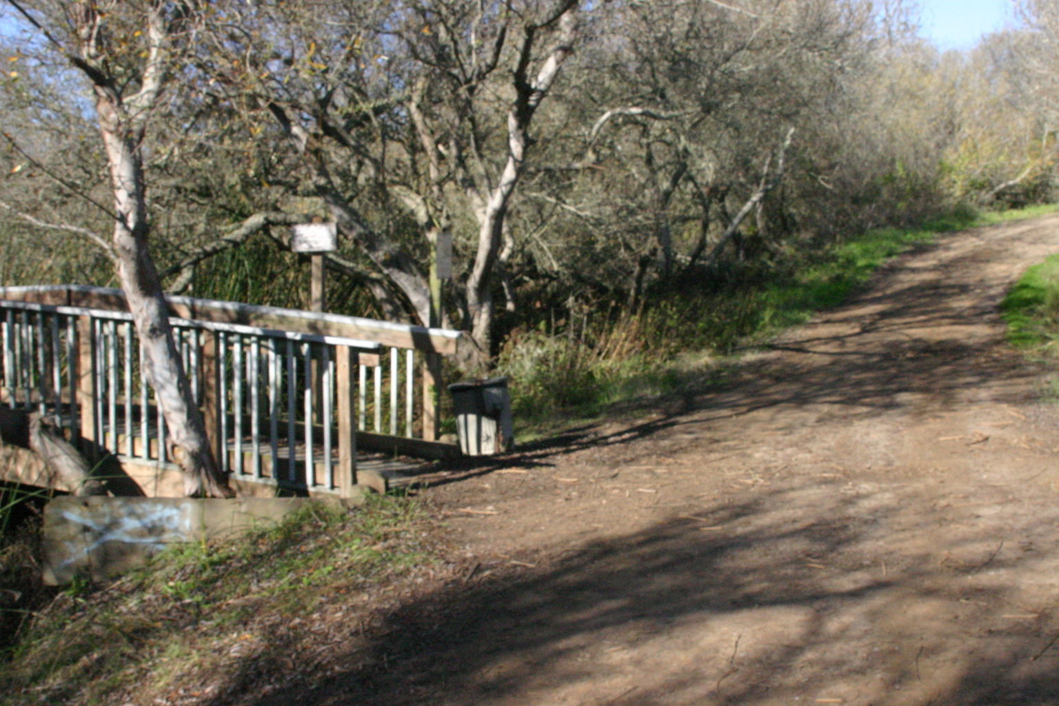 Oso Flaco Boardwalk
